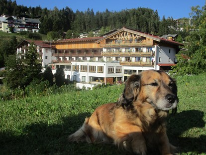 Hundehotel - Besorgung Hundefutter - Rauth (Nesselwängle) - Unser Gast Rexi fühlt sich im 20.000m² großen Panoramagarten "pudelwohl" - Inntalerhof - DAS Panoramahotel