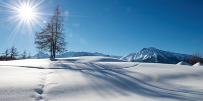 Hundehotel - Umgebungsschwerpunkt: Berg - PLZ 6410 (Österreich) - Glitzernde Winteridylle genießen - auch im Winter ein Genuss mit Ihrem vierbeinigen Freund - Inntalerhof - DAS Panoramahotel