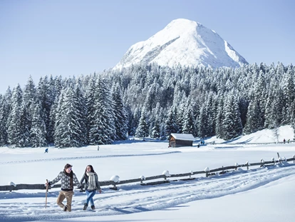 Hundehotel - Hund im Restaurant erlaubt - Sölden (Sölden) - Winterwandern in der Region Seefeld Tirols Hochplateau - Inntalerhof - DAS Panoramahotel