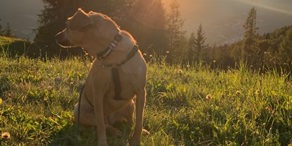 Hundehotel - Klassifizierung: 4 Sterne - Ried im Oberinntal - Inntalerhof - DAS Panoramahotel