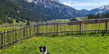 Hundehotel - WLAN - Sulzberg (Landkreis Oberallgäu) - Eingezäunter Garten  - Braito 's Seaside Lodges und Suites