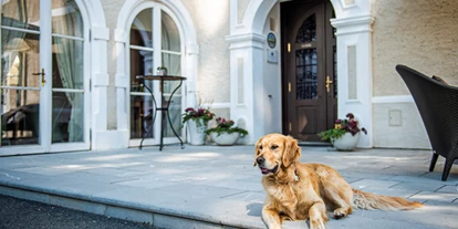 Hundehotel - Hund im Restaurant erlaubt - Winkling-Nord - Hotel G´Schlössl Murtal