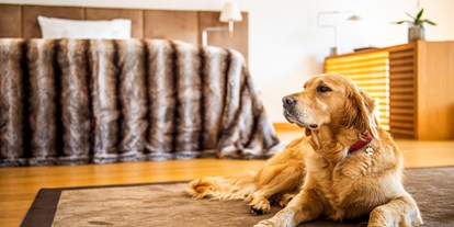 Hundehotel - Hundewiese: nicht eingezäunt - Ingering I - Hotel G´Schlössl Murtal