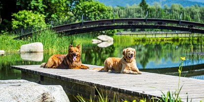 Hundehotel - Hundewiese: nicht eingezäunt - Knappenberg - Hotel G´Schlössl Murtal