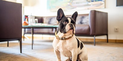 Hundehotel - Hundewiese: nicht eingezäunt - Ingering I - Hotel G´Schlössl Murtal