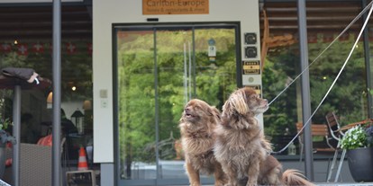 Hundehotel - Hundefutter inklusive - Interlaken (Gündlischwand, Interlaken) - Carlton-Europe Vintage Erwachsenenhotel