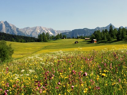 Hundehotel - Tirol - Natur & Spa Hotel Lärchenhof