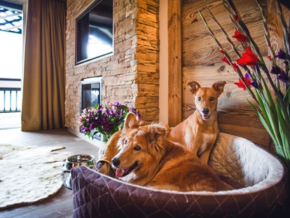 Hundehotel - Dogsitting - Bad Kohlgrub - Hundeservice auf dem Zimmer - Alpin Resort Sacher