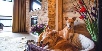 Hundehotel - Hundeservice auf dem Zimmer - Alpin Resort Sacher
