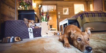 Hundehotel - Umgebungsschwerpunkt: Berg - PLZ 6105 (Österreich) - Hundeservice auf dem Zimmer - Alpin Resort Sacher
