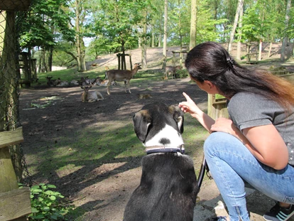 Hundehotel - Hund im Restaurant erlaubt - Bützow - Familienhotel am Tierpark