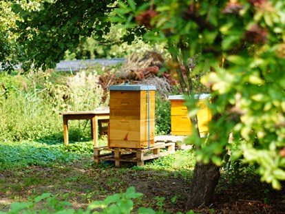 Hundehotel - Umgebungsschwerpunkt: See - Bienengarten - Familienhotel am Tierpark