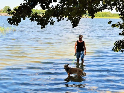 Hundehotel - Hundewiese: eingezäunt - Satow (Mecklenburgische Seenplatte) - Familienhotel am Tierpark