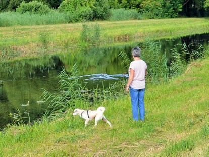 Hundehotel - Hundewiese: eingezäunt - Altenhof (Mecklenburgische Seenplatte) - Familienhotel am Tierpark