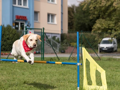 Hundehotel - Verpflegung: alkoholfreie Getränke ganztags inklusive - Bützow - Familienhotel am Tierpark