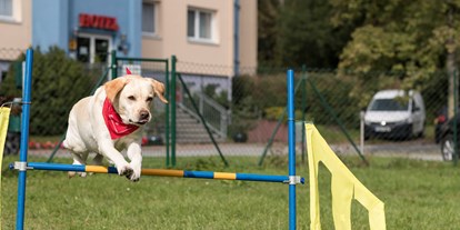 Hundehotel - Preisniveau: günstig - Familienhotel am Tierpark