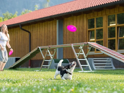 Hundehotel - Hundewiese: eingezäunt - Stötten am Auerberg - Aussenplatz und Spielwiese - Hundesporthotel Wolf