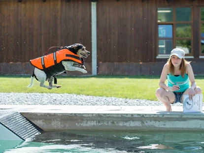 Hundehotel - Pools: Außenpool nicht beheizt - Telfs - Hundeschwimmbad - Hundesporthotel Wolf