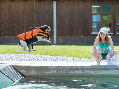 Hundehotel - Bademöglichkeit für Hunde - Oberbayern - Hundeschwimmbad - Hundesporthotel Wolf