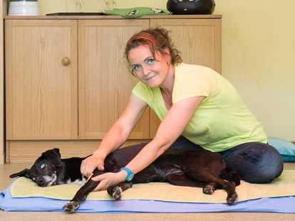 Hundehotel - Trink-/Fressnapf: an der Rezeption - Grän - Physiotherapie für Hunde - Hundesporthotel Wolf