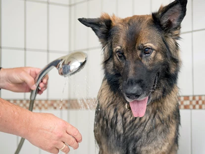 Hundehotel - Trink-/Fressnapf: an der Rezeption - Stötten am Auerberg - Die Hundedusche - Hundesporthotel Wolf