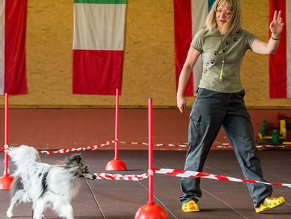 Hundehotel - Trink-/Fressnapf: vor dem Haus - Rauth (Nesselwängle) - Agility-Parcours in der Hundesporthalle - Hundesporthotel Wolf