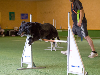 Hundehotel - Hund im Restaurant erlaubt - Innsbruck - Agility-Parcours - Hundesporthotel Wolf