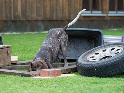 Hundehotel - Trink-/Fressnapf: an der Rezeption - Grän - Spielwiese für den Hund - Hundesporthotel Wolf