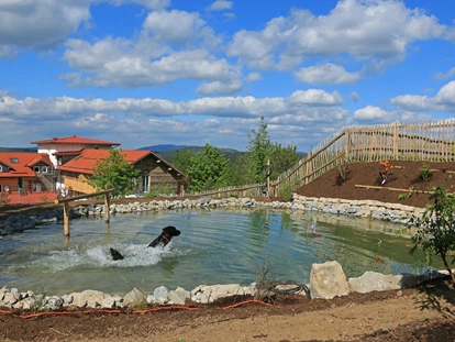 Hundehotel - Pools: Infinity Pool - Haidmühle - Unser Hundebadeteich - Hunderesort Waldeck