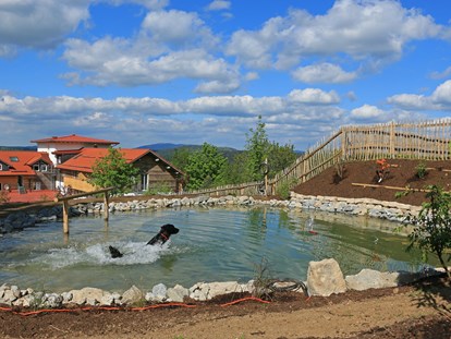 Hundehotel - Pools: Infinity Pool - Wurmbrand (Aigen-Schlägl) - Unser Hundebadeteich - Hunderesort Waldeck