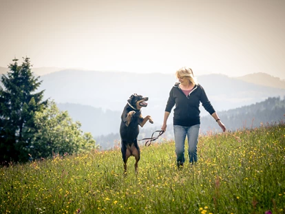 Hundehotel - Doggies: 6 Doggies - Sankt Oswald-Riedlhütte - Auf der Auslaufwiese - Hunderesort Waldeck