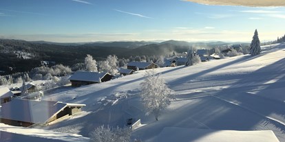 Hundehotel - keine Leinenpflicht im Hotel - Ostbayern - Winter-Aussicht aus unserer Turmsuite - Hunderesort Waldeck