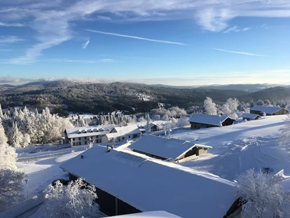 Hundehotel - keine Leinenpflicht im Hotel - Sankt Oswald-Riedlhütte - Winter-Aussicht Richtung Norden - Hunderesort Waldeck