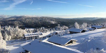 Hundehotel - Bademöglichkeit für Hunde - Bayern - Winter-Aussicht Richtung Norden - Hunderesort Waldeck