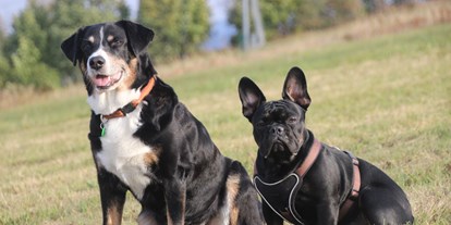 Hundehotel - Doggies: 5 Doggies - PLZ 94158 (Deutschland) - Hunde sind bei uns herzlich willkommen!  - Landhotel Sportalm