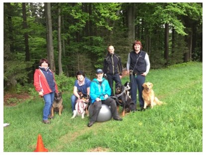 Hundehotel - Hundewiese: eingezäunt - Neukirchen vorm Wald - Spaß und Training mit dem Hund  - Landhotel Sportalm