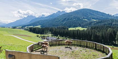 Hundehotel - Südtirol - Haubenthal