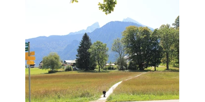 Hundehotel - Umgebungsschwerpunkt: Fluss - Ramsau (Bad Goisern am Hallstättersee) - Stoll´s Hotel Alpina