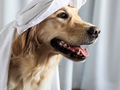 Hundehotel - Verpflegung: Frühstück - Plangeross - Wellness für den Hund - Wanderhotel Vinschgerhof