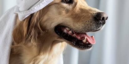 Hundehotel - Hund im Restaurant erlaubt - PLZ 7536 (Schweiz) - Wellness für den Hund - Wanderhotel Vinschgerhof