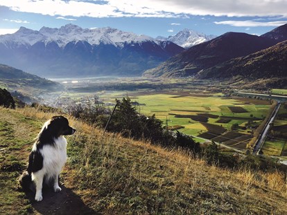 Hundehotel - Hundewiese: eingezäunt - Dorf Tirol - Wanderhotel Vinschgerhof