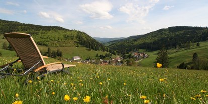 Hundehotel - Umgebungsschwerpunkt: Berg - PLZ 4057 (Schweiz) - Umgebung Vitalhotel  - Naturparkhotel Grüner Baum