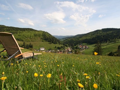 Hundehotel - Umgebungsschwerpunkt: Berg - Umgebung Vitalhotel  - Naturparkhotel Grüner Baum