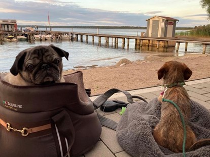 Hundehotel - Bademöglichkeit für Hunde - Kogel (Mecklenburgische Seenplatte) - Hundeleben. Ihr Vierbeiner in all' unseren Restaurants willkommen! - Fleesensee Resort & Spa