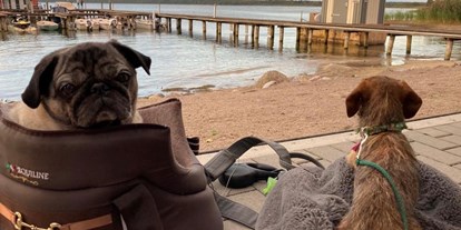 Hundehotel - Umgebungsschwerpunkt: Strand - PLZ 18292 (Deutschland) - Hundeleben. Ihr Vierbeiner in all' unseren Restaurants willkommen! - Fleesensee Resort & Spa