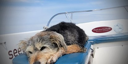 Hundehotel - Klassifizierung: 4 Sterne - Hunde Model 2023 gesucht - gefunden!
1. Platz für Fussel - Fleesensee Resort & Spa