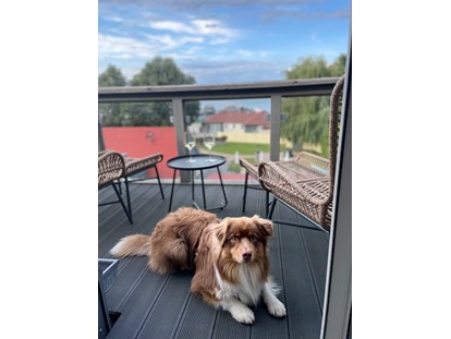 Hundehotel - Hund im Restaurant erlaubt - Groß Nemerow - Hunde Model 2023 gesucht - gefunden!
2. Platz für Flinni - Fleesensee Resort & Spa
