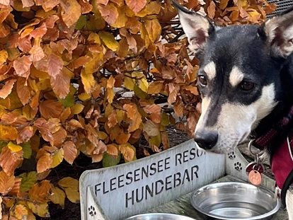 Hundehotel - Bademöglichkeit für Hunde - Güstrow - Fleesensee Resort & Spa