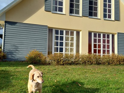 Hundehotel - Hundewiese: eingezäunt - Altenhof (Mecklenburgische Seenplatte) - Fleesensee Resort & Spa