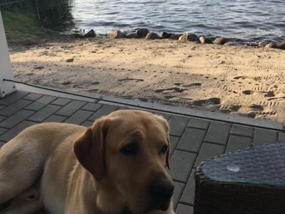 Hundehotel - Hundewiese: eingezäunt - Triglitz - Fleesensee Resort & Spa